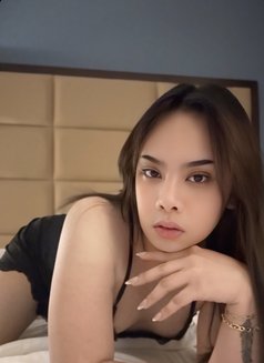 Sweet Lola - Transsexual companion in Abu Dhabi Photo 2 of 17