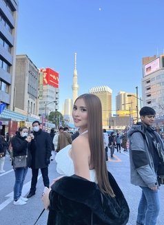 Sweet love sofia 🤎 - escort in Taipei Photo 24 of 30