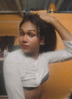 Sweet Mango - Transsexual escort in Kolkata Photo 5 of 6