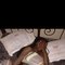 Sweet Mitch - Acompañantes transexual in Nairobi Photo 2 of 7