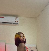 Sweet Pumpkin - escort in Lomé