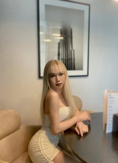 SWEET REIN - Acompañantes transexual in Dubai Photo 6 of 19