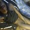 Sweet Ryan - Acompañantes masculino in Nairobi