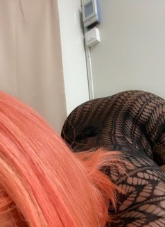 Sweet Sophie - escort in Kuala Lumpur Photo 7 of 8