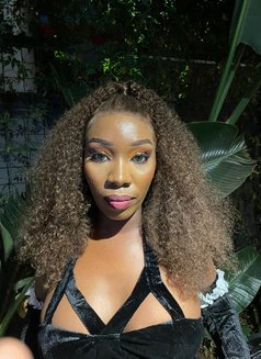 Sweet Temptation - escort in Nairobi Photo 1 of 1