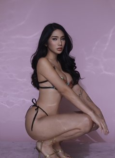 Sweet Ts Akiko is Back!π―π΅ - Transsexual escort in Manila Photo 6 of 16