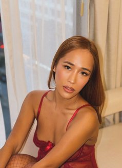 Baby Maui - Transsexual escort in Hong Kong Photo 1 of 8