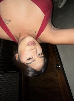 Sweet Young Ladyboy - Transsexual escort in Angeles City Photo 5 of 6