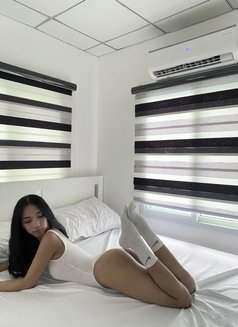 Sweetcandyyy - Transsexual escort in Manila Photo 3 of 6