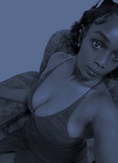 Sweetcheeks - escort in Nairobi Photo 5 of 5