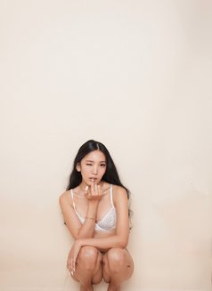 Sweetgirl SofiaKang🇲🇾 (BestService) - puta in Osaka Photo 2 of 29