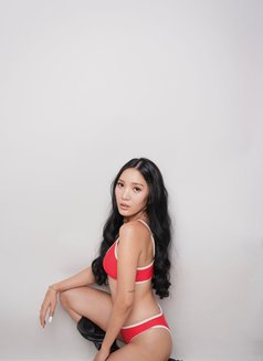 Sweetgirl SofiaKang🇲🇾 (BestService) - puta in Osaka Photo 4 of 29