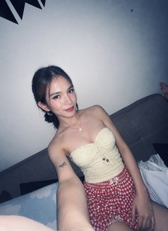 Sweetie Fox - Transsexual escort in Makati City Photo 5 of 9