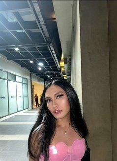 Sweetie Fox - Acompañantes transexual in Manila Photo 1 of 5