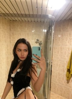 Sweetie Fox - Transsexual escort in Manila Photo 2 of 10