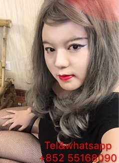 Sweetie Sugar - Transsexual escort in Hong Kong Photo 1 of 1