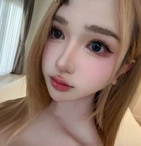 Bunni - Transsexual escort in Bangkok