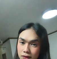 Sweetpeaxxx - Acompañantes transexual in Bangkok