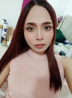 Sweettyladyboy Al Mabelah - Transsexual escort in Muscat Photo 2 of 6