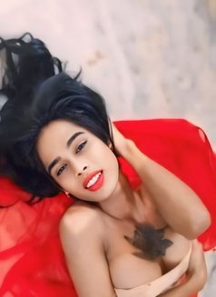 Sweety - Acompañantes transexual in Chennai Photo 4 of 4