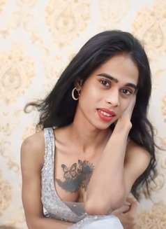 Sweety Young Top Shemale Model Queen 21 - Acompañantes transexual in Chennai Photo 8 of 8