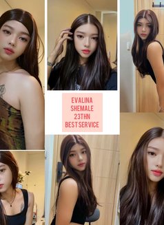 Syasa Evalina Shemale - Transsexual escort in Jakarta Photo 5 of 5
