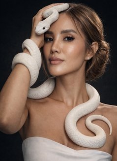 T.S Arabella Lux Reina - Transsexual escort in Kuala Lumpur Photo 10 of 18