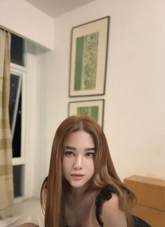 T Sforhire - Acompañantes transexual in Bangkok Photo 5 of 6