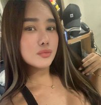 T Sforhire - Acompañantes transexual in Bangkok