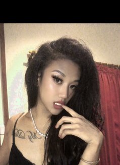 T Sversbigcock - Acompañantes transexual in Bali Photo 4 of 4