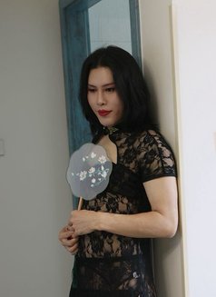 T Sweiwei - Masajista in Beijing Photo 10 of 11