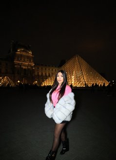 Tabata - Transsexual escort in Brussels Photo 4 of 7