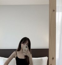 Taeri - Transsexual escort in Phuket