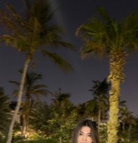 Tahlia - puta in Dubai