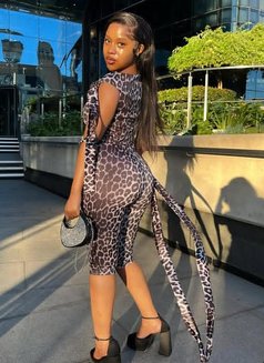 Taina, Available Now 🟢 - escort in Pattaya Photo 3 of 6