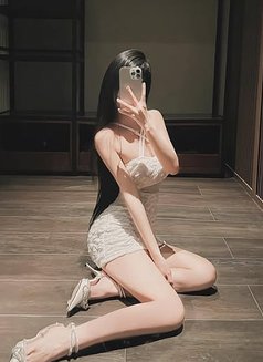 Taipei's Most Premium Tea Line: Tbyy3 - escort in Taipei Photo 6 of 13