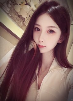 Taipei's Most Premium Tea Line: Tbyy3 - escort in Taipei Photo 10 of 13