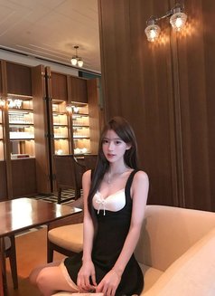 Taiwan Top Class 77 Outcall Tea Service - Agencia de putas in Taichung Photo 5 of 12