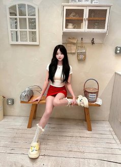 Taiwan Top Class 77 Outcall Tea Service - Agencia de putas in Taipei Photo 7 of 12