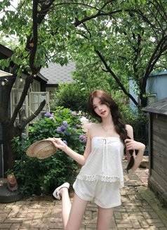 Taiwan Top Class 77 Outcall Tea Service - Agencia de putas in Xinzhu Photo 12 of 12
