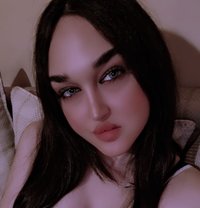 Taj Alai - Transsexual escort in Beirut