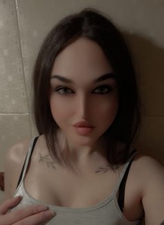 Taj Alai - Transsexual escort in Beirut Photo 4 of 7