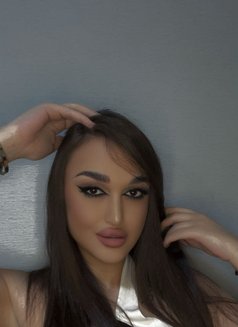 Taj. Alali - Transsexual escort in Beirut Photo 17 of 17