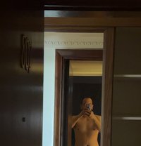 Taj - Transsexual escort agency in Riyadh