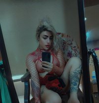 Taj Queen - Transsexual escort in Beirut