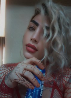 Taj Queen - Transsexual escort in Beirut Photo 9 of 18