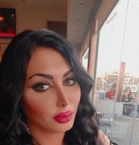 Tala - Transsexual escort in Damascus