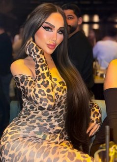 NooR - escort in Amman Photo 5 of 9