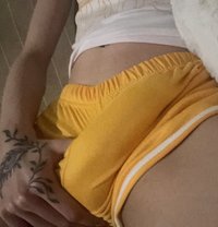 Tala - Transsexual escort in Toronto