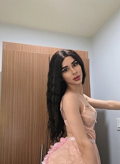 Tala mardinii - Transsexual escort in Dubai Photo 12 of 12